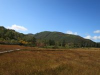 ニセコ神仙沼湿地 (22)